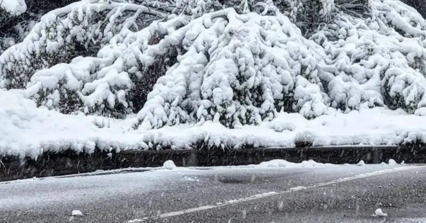 colorado snow school closures — US news