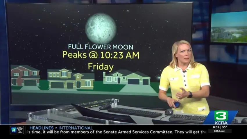 flower moon — US news
