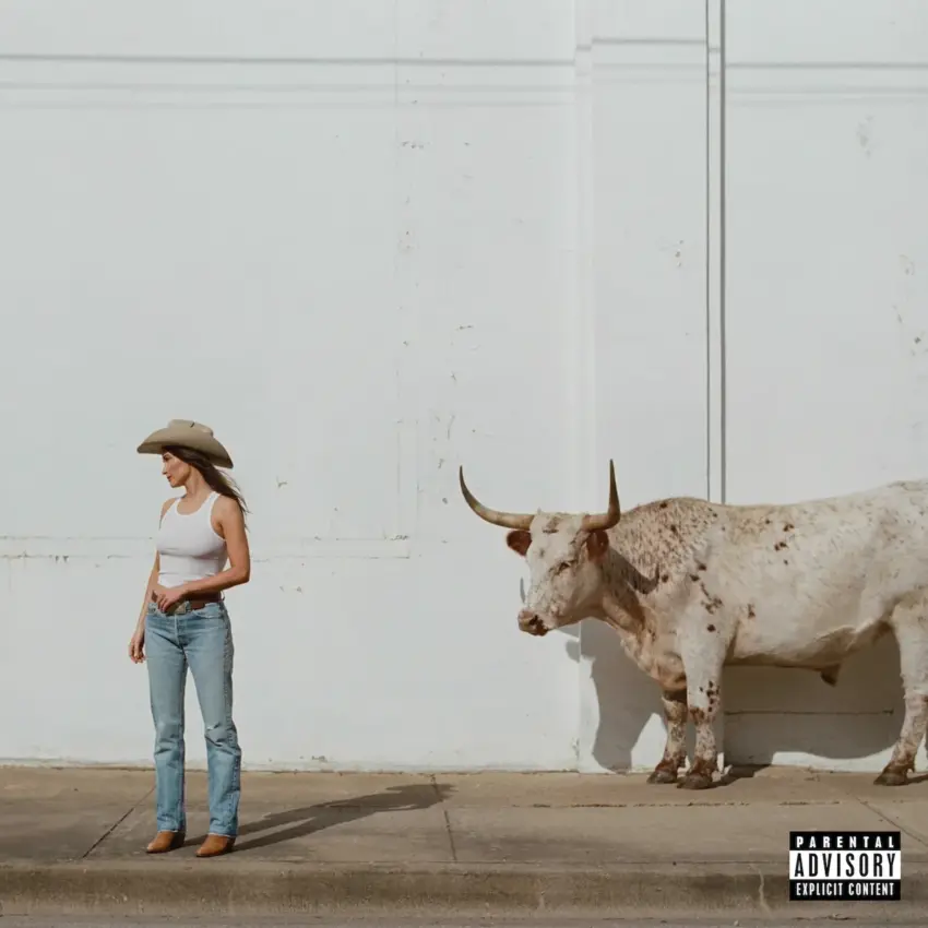 kacey musgraves album review — US news
