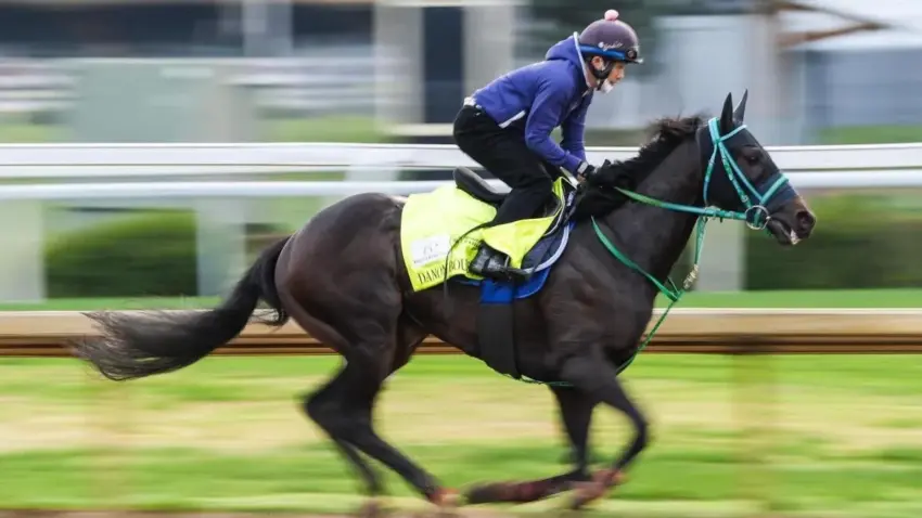 kentucky derby 2026 — US news