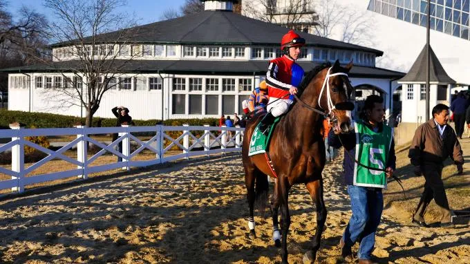 preakness 2026 — US news