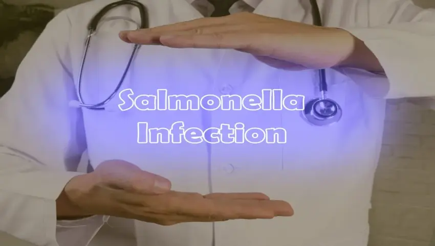 salmonella — US news