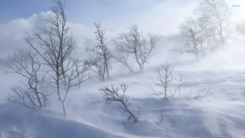 snow storm — US news