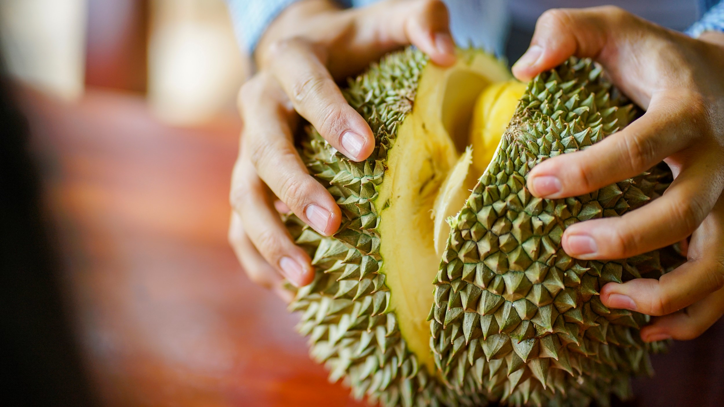 Durian fruit